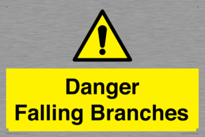 Danger Falling Branches